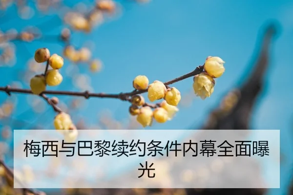 mei-xi-yu-ba-li-xu-yue-tiao-jian-nei-mu-quan-mian-bao-guang-2-418.jpg