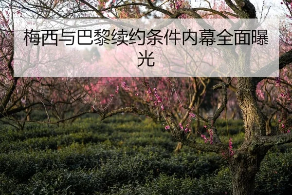 梅西与巴黎续约条件内幕全面曝光